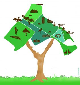 Illustratie van een boom waarbij het bladerdek Capelle van bovenaf is