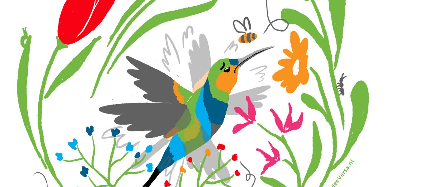 Hummingbird tussen veel bloemen en kijkt moeilijk